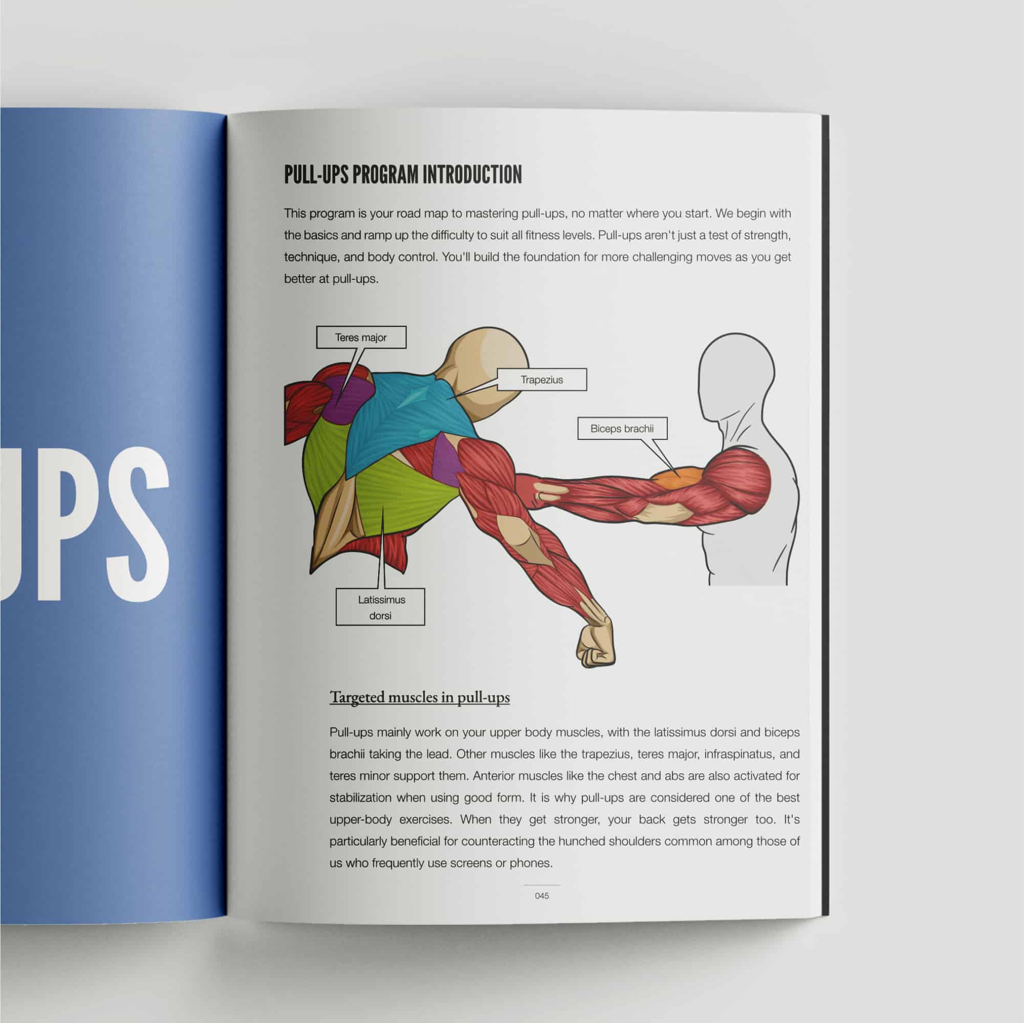 Calisthenics Playbook For Push Pull Squat (Physical Book) – Gravgear MY